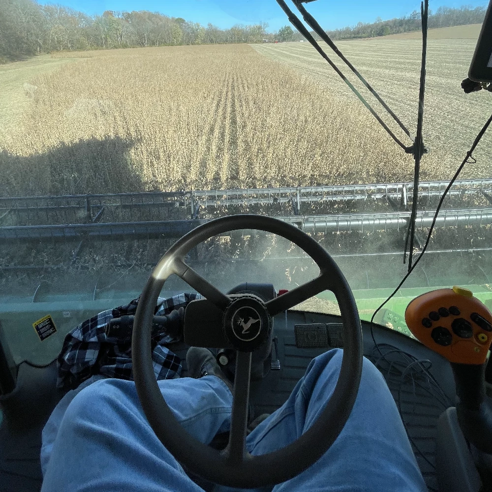 Close view of a farmer checking crop growth in a field.