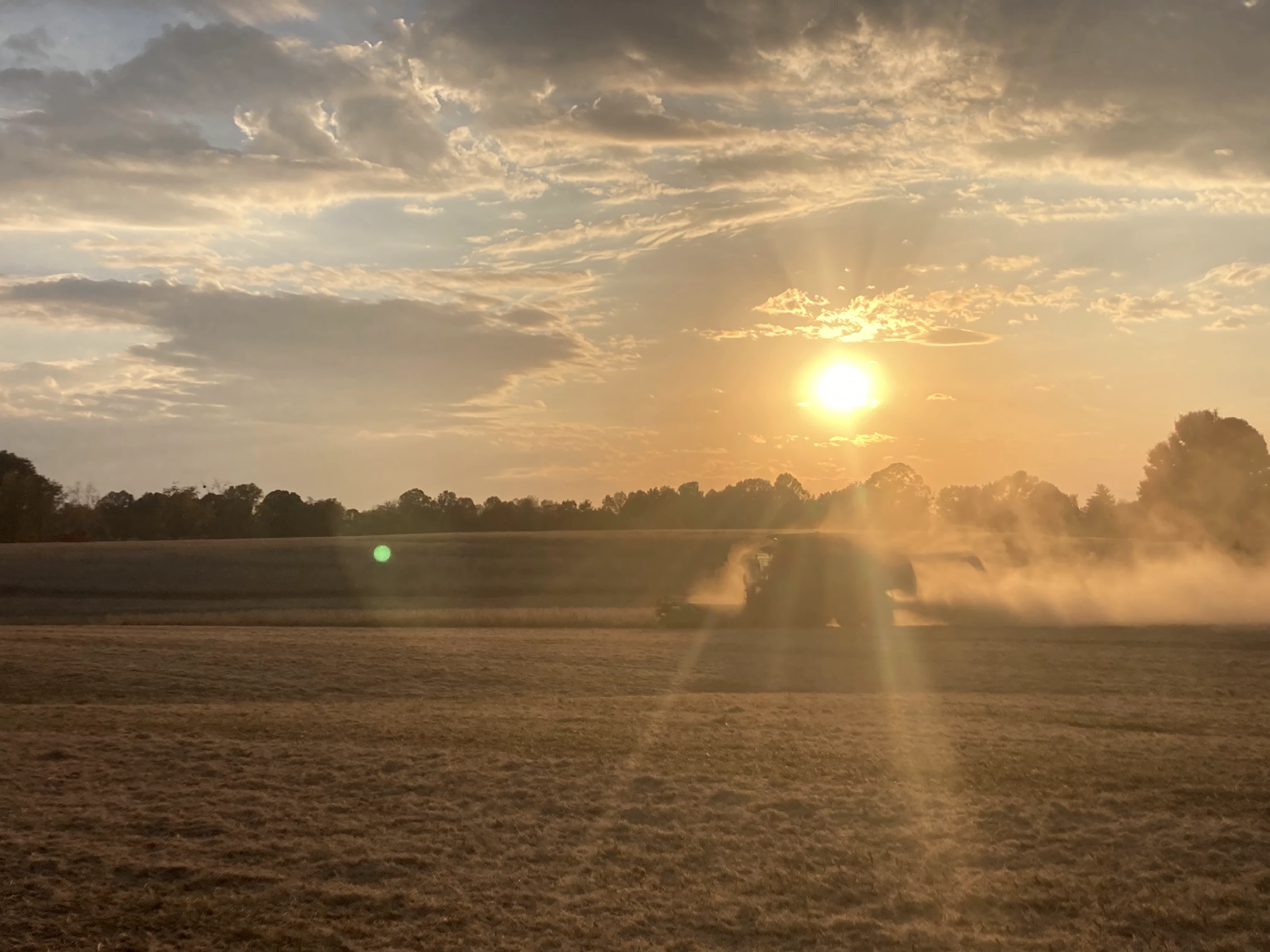 A wide view of a farm field during harvest with equipment on the horizon.